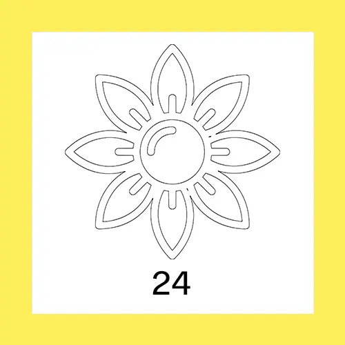 24