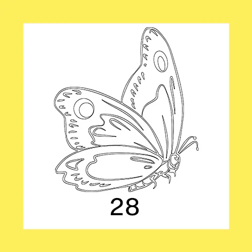 28