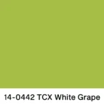 5 colore white grape