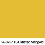 8 colore misted marigold